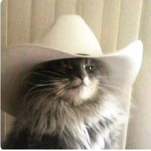 Meet your Posher, Rob